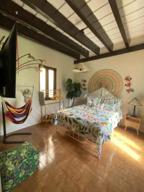 The Garden Apartment, The Willow Apartment, & The Tropical Apartment at Casa of Essence in Old San Juan
